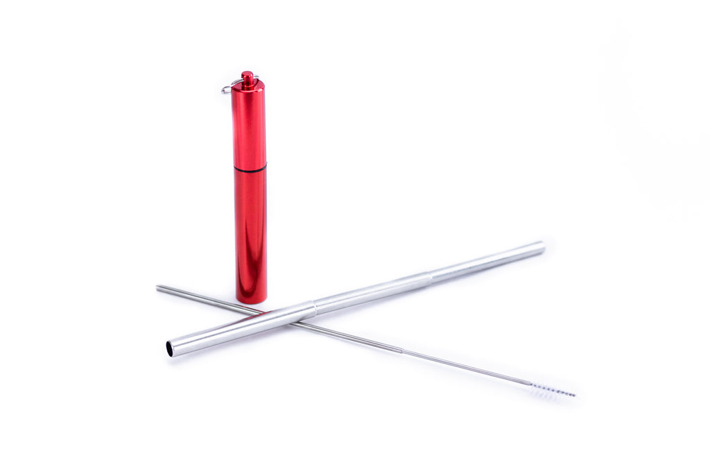 Extendable Stainless Steel Straw in Red Carrying Case : Travel Straw Collection