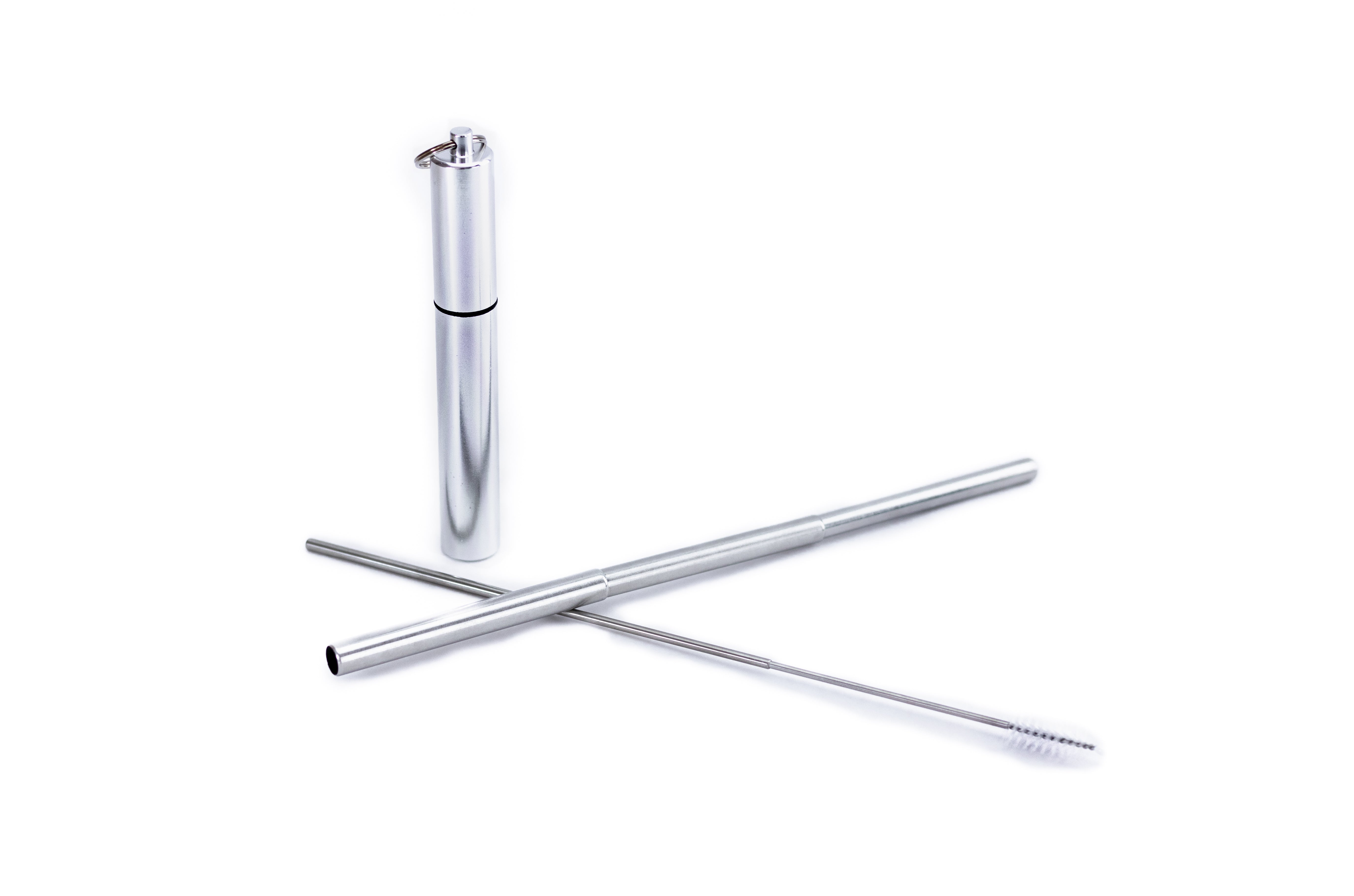 Extendable Stainless Steel Straw in Silver Carrying Case : Travel Straw Collection