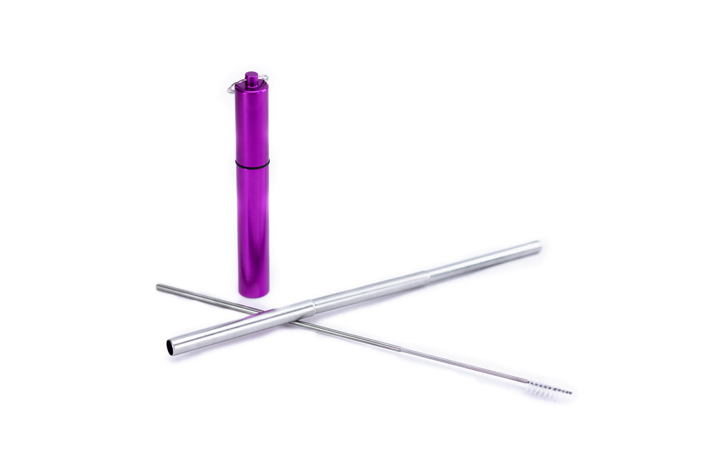 Extendable Stainless Steel Straw in Magenta Case : Travel Collection